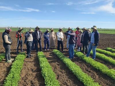 Dr. Devkota describes her lentil/quinoa relay-cropping experiment to Moroccan farmers