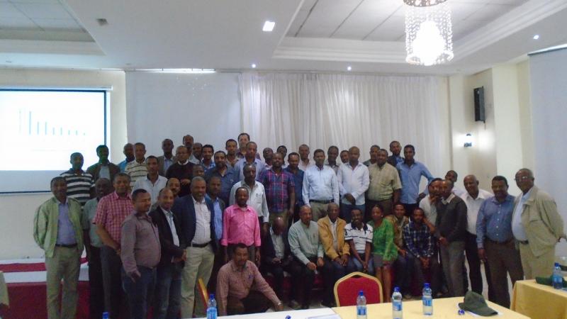 Participants at the annual review and planning workshop in Addis Ababa, Ethiopia