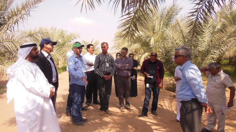 Participants of the training workshop with IPM experts during field visit