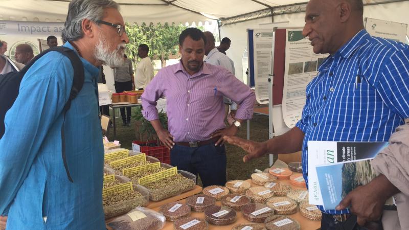 ICARDA showcased improved varieties of lentil, chickpea, malt barely and faba bean at the Science forum 2016