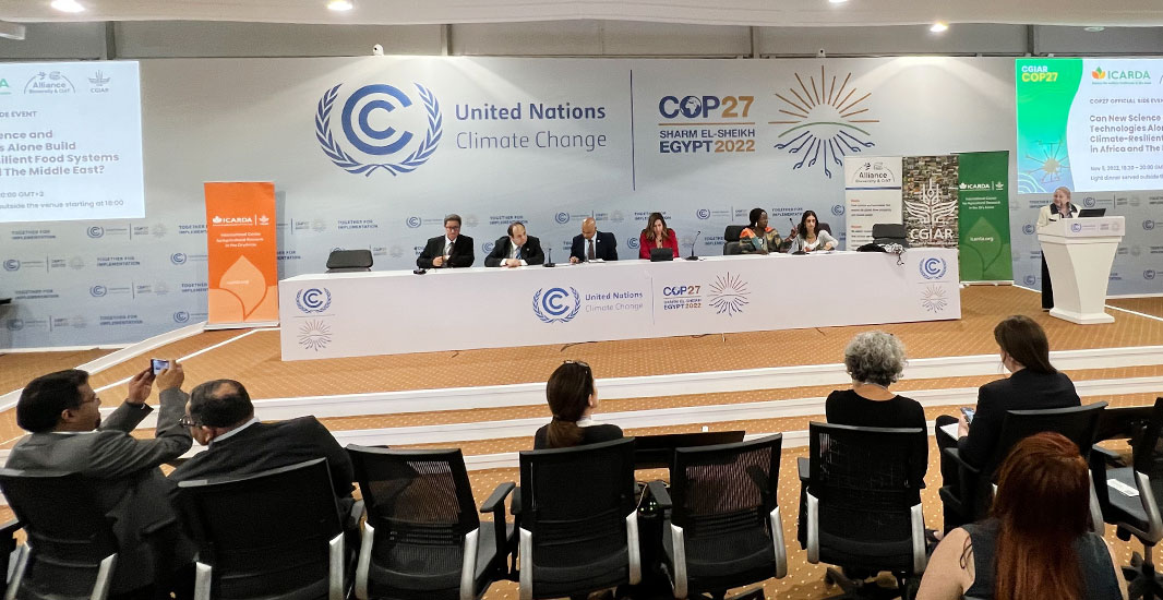 ICARDA at COP27
