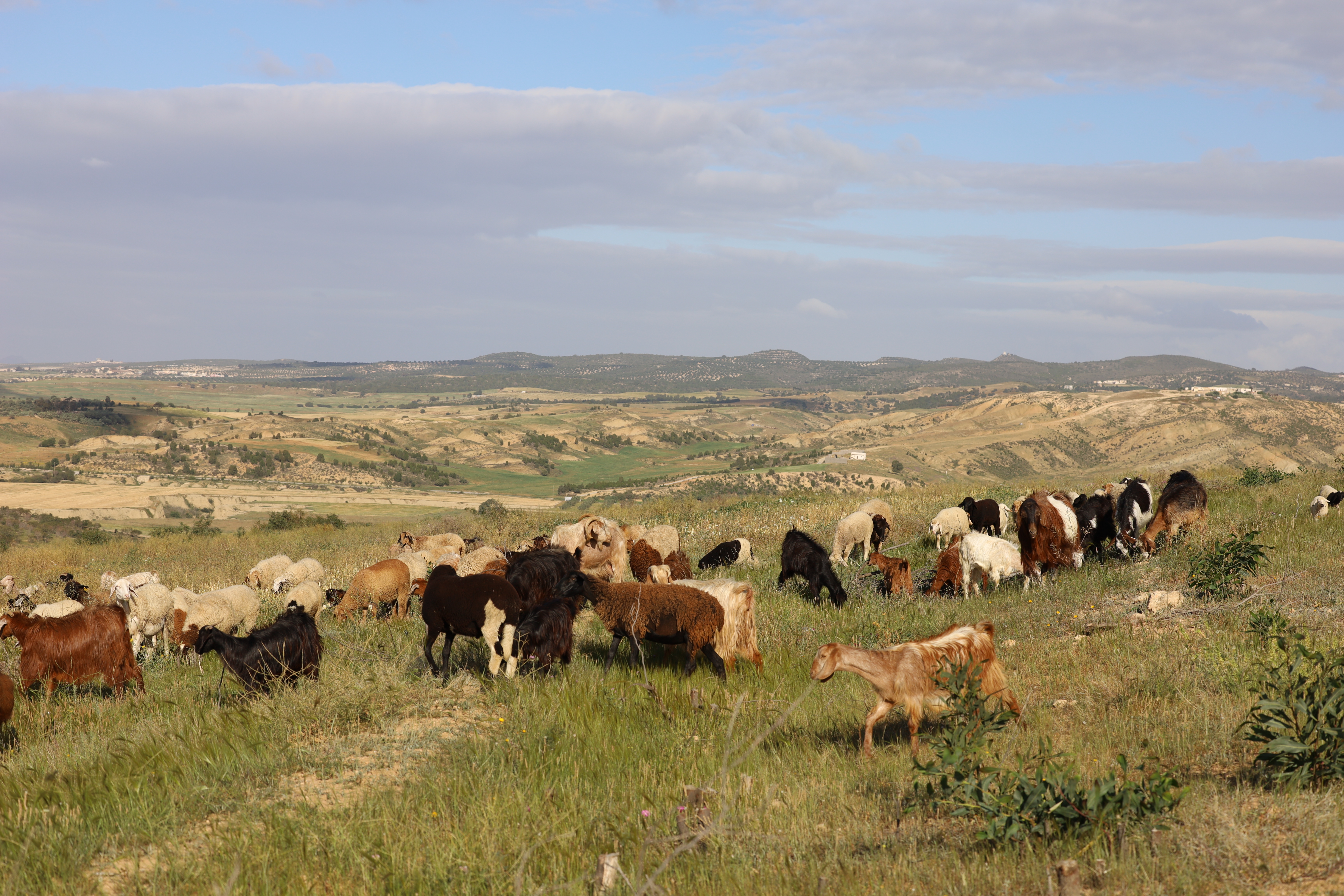 World Day to Combat Desertification and Drought 2024