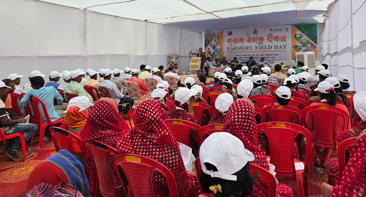 Farmers’ Field Day at Khadiapala, Keonjhar, Odisha, India    Photo credit: Ashis Kumar Jena, District Coordinator, IAP project
