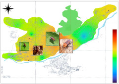 RPW – Risk Prediction Maps