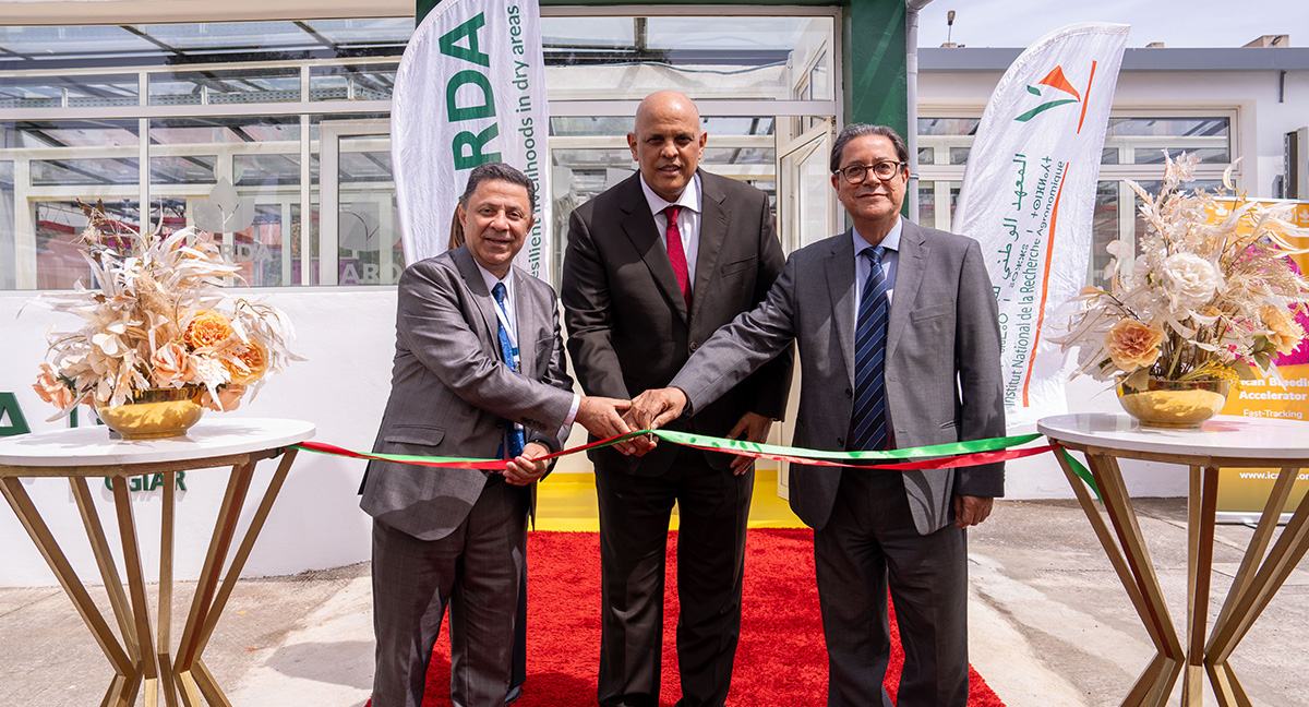 From Left to Right: Dr. Tareq Alzabet, ICARDA Board Chair; Dr. Redouane Arrach, Secretary General of the Ministry of Agriculture; Mr. Aly Abousabaa, ICARDA Director General