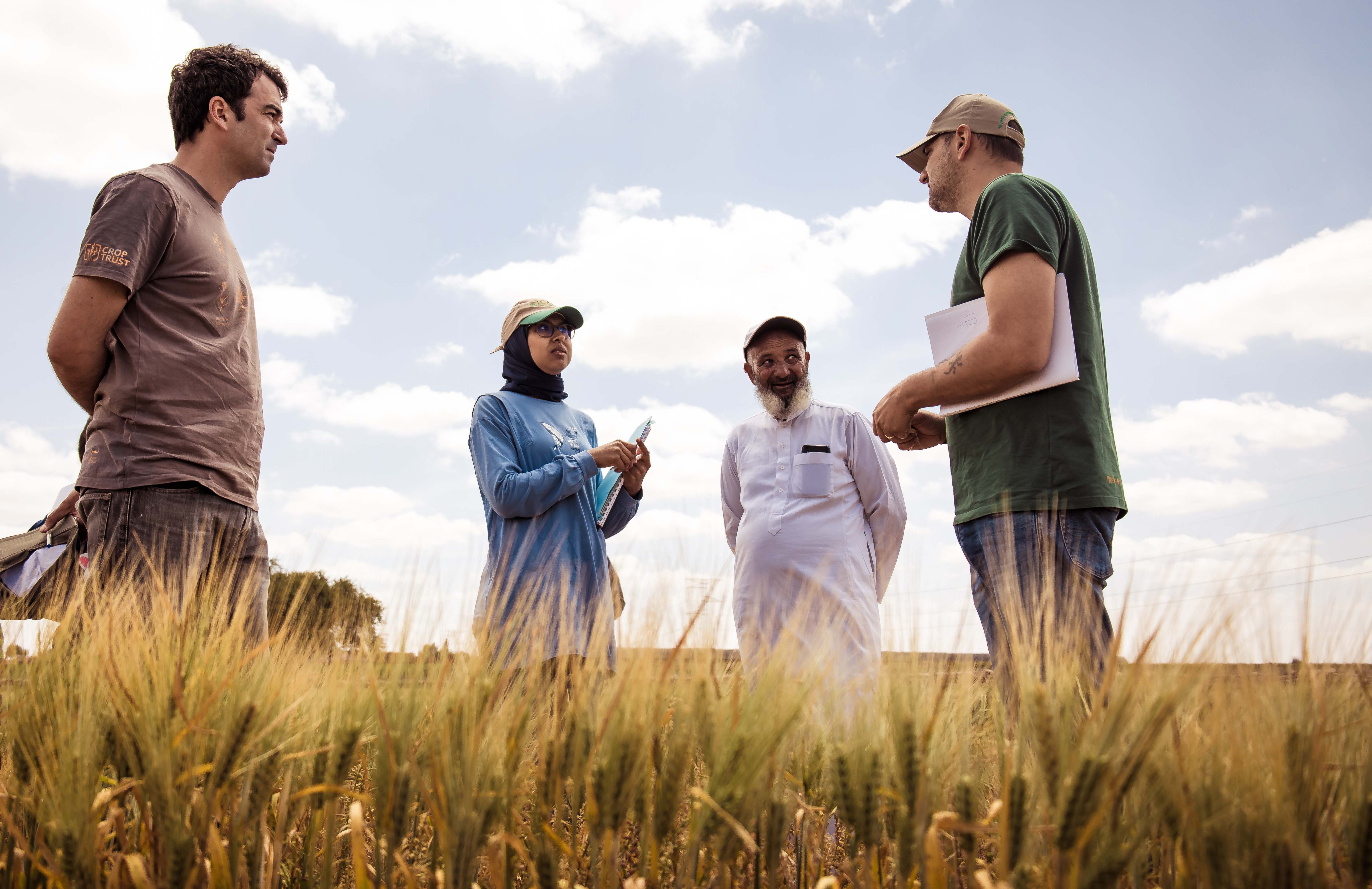 From left to right: ICARDA/BOLD’s Drs. Miguel Sanchez, Meryem Zeim, and Filippo Bassi talking with a farmer who evaluated the Jawahir durum wheat variety on his farm located in the dry region of Safi in Morocco. Photo Credit: Ahmed Isamili/ Crop Trust