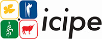 icipe