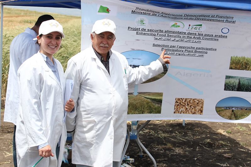 AFESD Project Summary