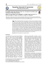 Pyramiding Stripe Rust Resistant Genes Yr5, Yr10 and Yr15 in Sids 12 and Gemmeiza 11 Wheat Derived Lines