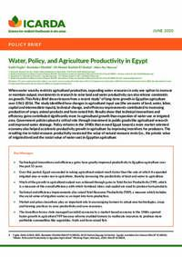 Water, Policy, and Agriculture Productivity in Egypt