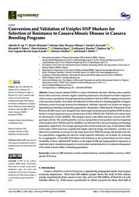 Conversion and Validation of Uniplex SNP Markers for Selection of Resistance to Cassava Mosaic Disease in Cassava Breeding Programs