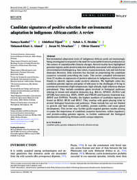 Candidate signatures of positive selection for environmental adaptation in indigenous African cattle: A review