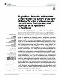 Single-Plant Selection at Ultra-Low Density Enhances Buffering Capacity of Barley Varieties and Landraces to Unpredictable Environments and Improves Their Agronomic Performance