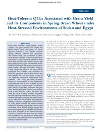 Heat-Tolerant QTLs Associated with Grain Yield and Its Components in Spring Bread Wheat under Heat-Stressed Environments of Sudan and Egypt