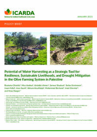 Potential Of Water Harvesting as a Strategic Tool for Resilience, Sustainable Livelihoods, and Drought Mitigation in the Olive Farming System in Palestine