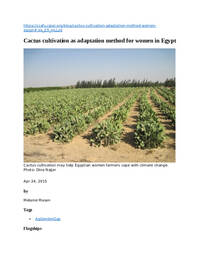 Cactus cultivation as adaptation method for women in Egypt