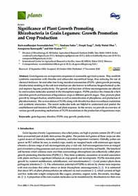 Significance of Plant Growth Promoting Rhizobacteria in Grain Legumes: Growth Promotion and Crop Production
