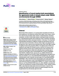 Identification of novel marker-trait associations for agronomic traits in bread wheat under WANA environments through GWAS