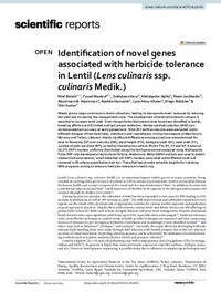 Identification of novel genes associated with herbicide tolerance in Lentil (Lens culinaris ssp. culinaris Medik.)