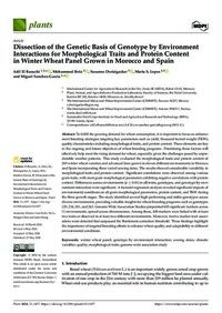Dissection of the Genetic Basis of Genotype by Environment Interactions for Morphological Traits and Protein Content in Winter Wheat Panel Grown in Morocco and Spain