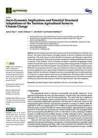 Socio-Economic Implications and Potential Structural Adaptations of the Tunisian Agricultural Sector to Climate Change