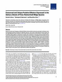 Conserved and Unique Putative Effectors Expressed in the Salivary Glands of Three Related Gall Midge Species