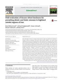 Field evaluation of durum wheat landraces forprevailing abiotic and biotic stresses in highlandrainfed regions of Iran