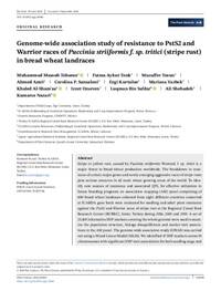 Genome-wide association study of resistance to PstS2 and Warrior races of Puccinia striiformis f. sp. tritici (stripe rust) in bread wheat landraces