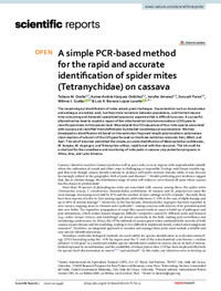 A simple PCR-based method for the rapid and accurate identification of spider mites (Tetranychidae) on cassava