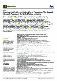 Meeting the Challenges Facing Wheat Production: The Strategic Research Agenda of the Global Wheat Initiative