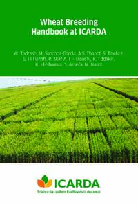 Wheat Breeding Handbook at ICARDA 