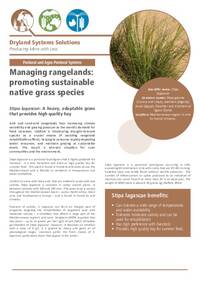 Managing rangelands: promoting sustainable native grass species: Stipa lagascae: A heavy, adaptable grass that provides high quality hay
