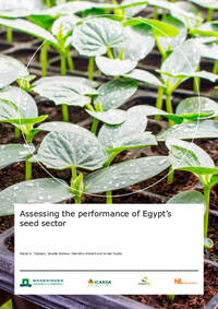 Assessing the Performance of Egypt's Seed Sector