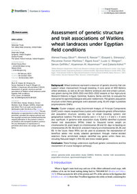 Assessment of genetic structure and trait associations of Watkins wheat landraces under Egyptian field conditions