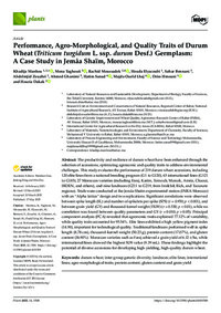 Performance, Agro-Morphological, and Quality Traits of Durum Wheat (Triticum turgidum L. ssp. durum Desf.) Germplasm: A Case Study in Jemâa Shaïm, Morocco