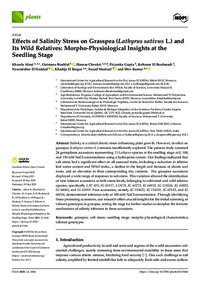 Effects of Salinity Stress on Grasspea (Lathyrus sativus L.) and Its Wild Relatives: Morpho-Physiological Insights at the Seedling Stage