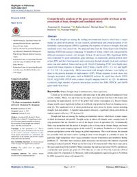 Comprehensive analysis of the gene expression profile of wheat at the crossroads of heat, drought and combined stress