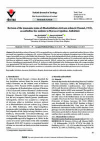 Revision of the taxonomic status of Rhodanthidium sticticum ordonezi (Dusmet, 1915), an anthidiine bee endemic to Morocco (Apoidea: Anthidiini)