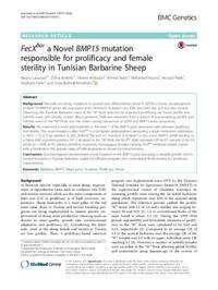 FecXBar a Novel BMP15 mutation responsible for prolificacy and female sterility in Tunisian Barbarine Sheep