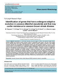 Identification of genes that have undergone adaptive evolution in cassava (Manihot esculenta) and that may confer resistance to cassava brown streak disease