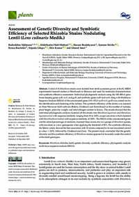 Assessment of Genetic Diversity and Symbiotic Efficiency of Selected Rhizobia Strains Nodulating Lentil (Lens culinaris Medik.)