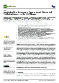 Identifying New Resistance to Cassava Mosaic Disease and Validating Markers for the CMD2 Locus