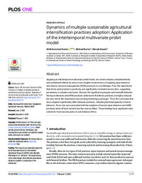 Dynamics of multiple sustainable agricultural intensification practices adoption: Application of the intertemporal multivariate probit model
