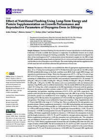 Effect of Nutritional Flushing Using Long-Term Energy and Protein Supplementation on Growth Performance and Reproductive Parameters of Doyogena Ewes in Ethiopia