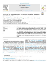 Efficacy of the anthranilic diamide tetraniliprole against four coleopteran pests of stored grains