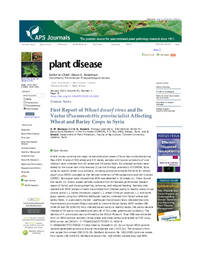 First Report Of Wheat Dwarf Virus And Its Vector (Psammotettix Provincialis) Affecting Wheat And Barley Crops In Syria