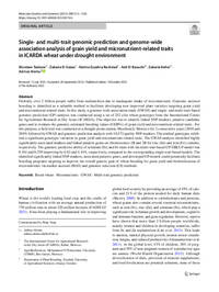 Single- and multi-trait genomic prediction and genome-wide association analysis of grain yield and micronutrient-related traits in ICARDA wheat under drought environment