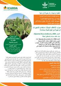 Managing rangelands: promoting sustainable shrub species: Opuntia ficus-indica (L.) Mill: a sustainable fodder plant for the dry areas ( in Arabic)