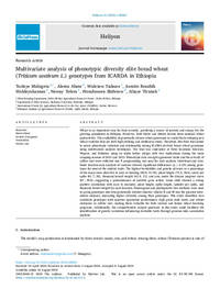 Multivariate analysis of phenotypic diversity elite bread wheat  (Triticum aestivum L.) genotypes from ICARDA in Ethiopia