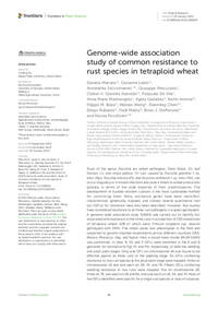 Genome-wide association study of common resistance to rust species in tetraploid wheat